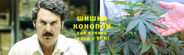 сатива Абаза