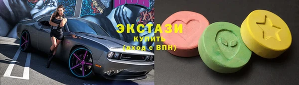 индика Ельня