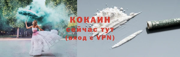 сатива Абаза