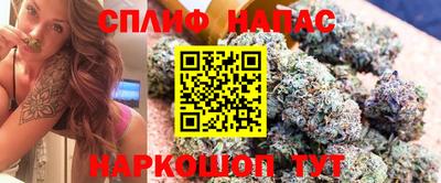 мдпв Краснодар