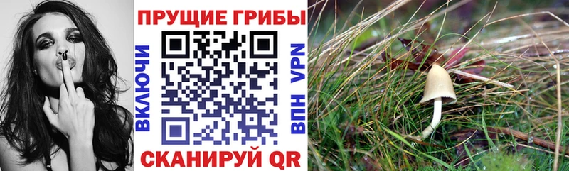 Псилоцибиновые грибы ЛСД  Кизляр 