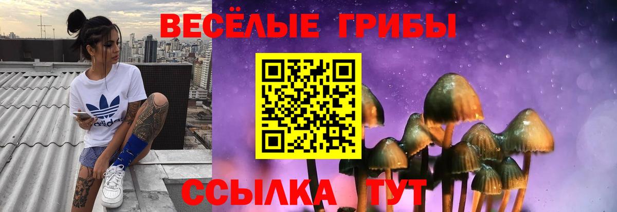 Галлюциногенные грибы мицелий  Вход с VPN  Псилоцибиновые грибы мицелий  Кизляр 