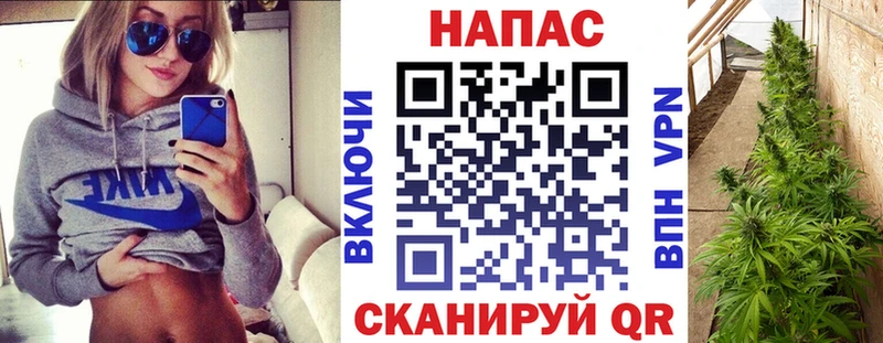 Бошки марихуана OG Kush  Кизляр 